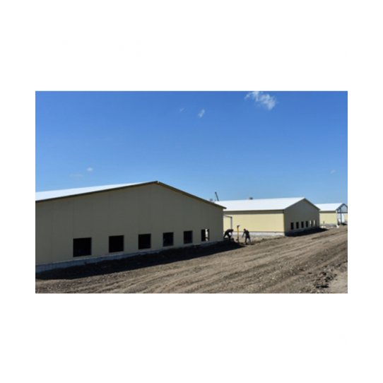 Птицекомплексы