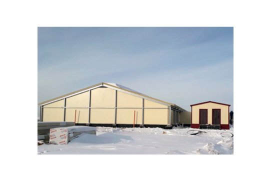 Свинокомплексы